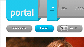 web portal