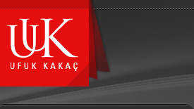 wordpress temas�
